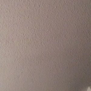 Meet your Posher, Roy